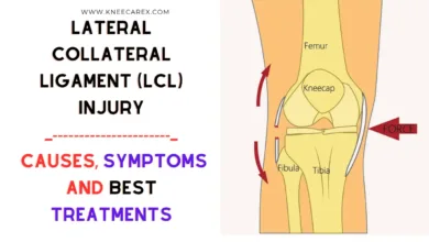 Lateral Collateral Ligament (LCL) Injury Latest Details 2024